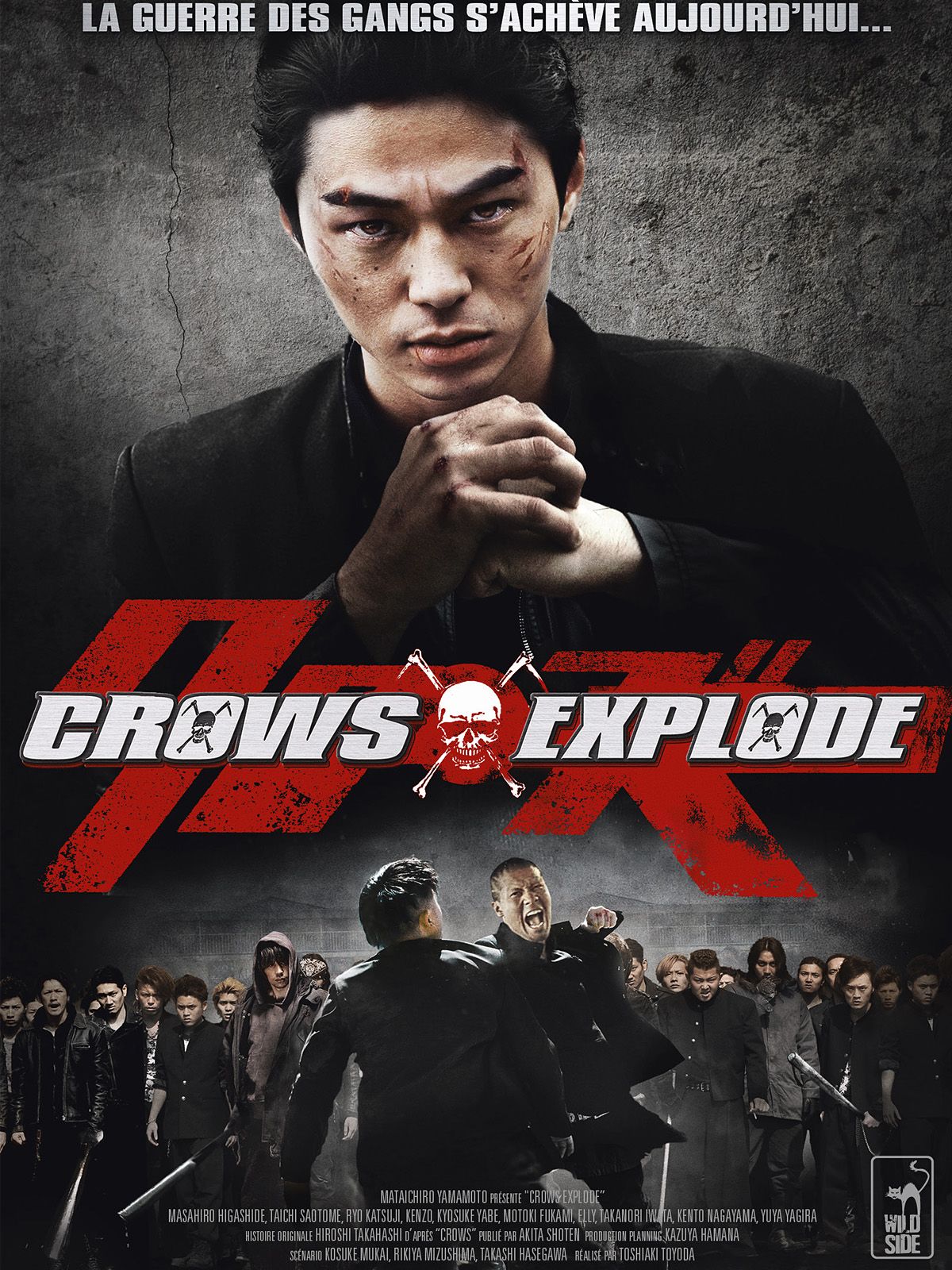 crow3